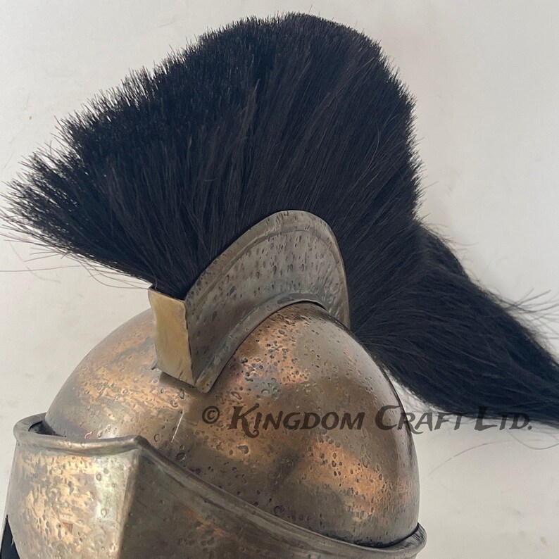 Spartan Decorative Display Shield Helmet view 2