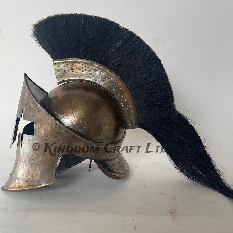 Spartan Decorative Display Shield Helmet view 3