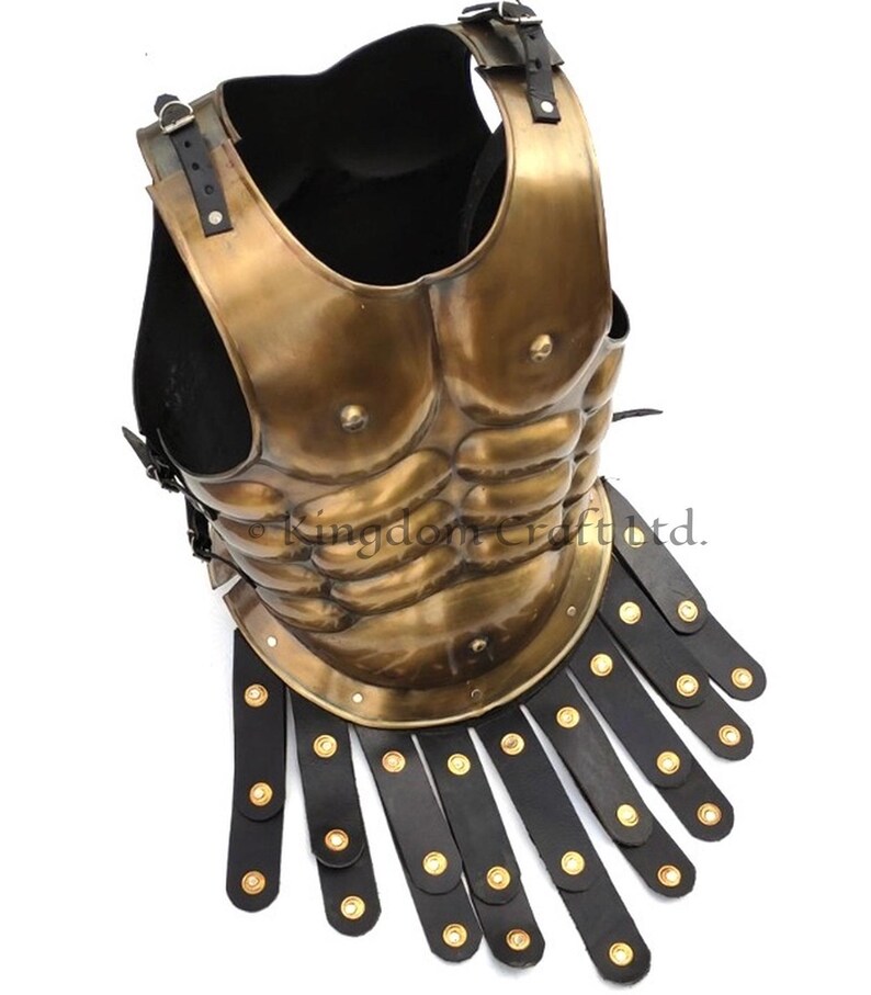 Spartan Decorative Display Shield Helmet view 6