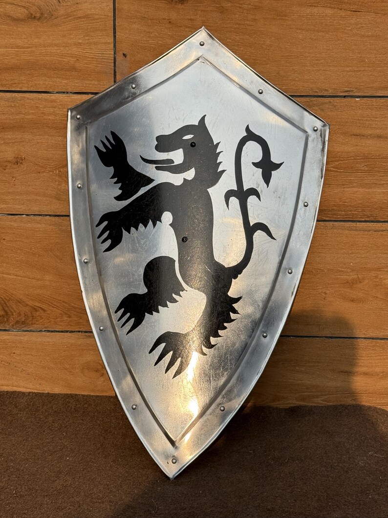 Dragon Templar Steel Shield with Medieval Knight Crusader view 2
