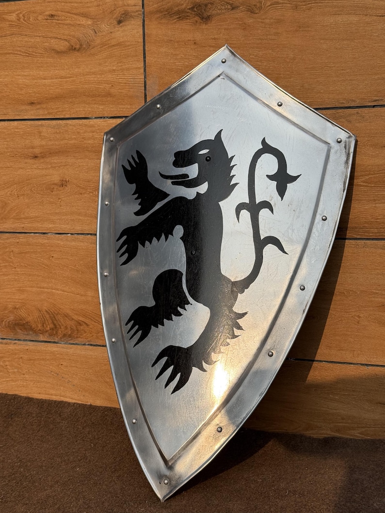 Dragon Templar Steel Shield with Medieval Knight Crusader view 4