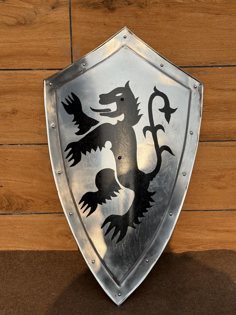 Dragon Templar Steel Shield with Medieval Knight Crusader view 6