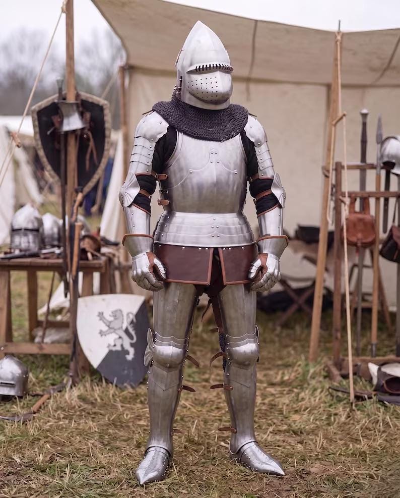 Buhurt Knight Armor with Hounskull Helmet and SCA Steel Suit view 5