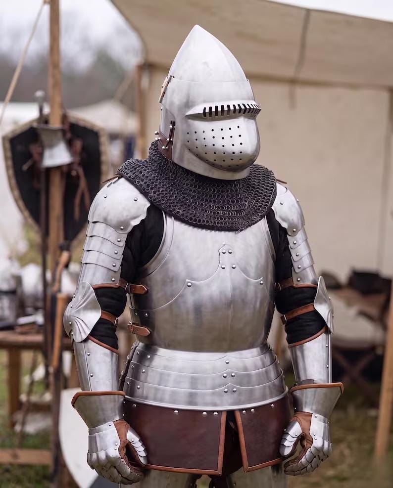 Buhurt Knight Armor with Hounskull Helmet and SCA Steel Suit view 7