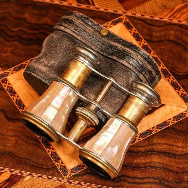 Binoculars — primary view